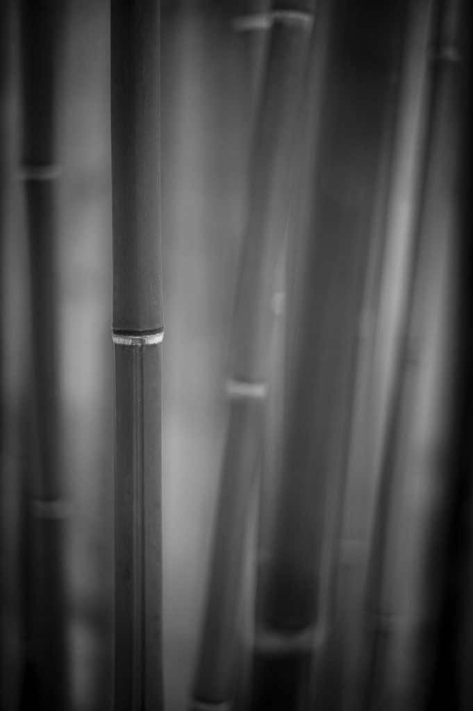 Landscape-Photography-Agency-Near-Me-Dallas-Randy-Anders_004