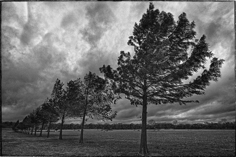 Landscape-Photography-Agency-Near-Me-Dallas-Randy-Anders_010