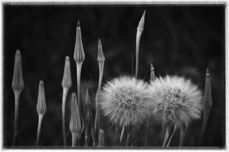 Landscape-Photography-Agency-Near-Me-Dallas-Randy-Anders_011